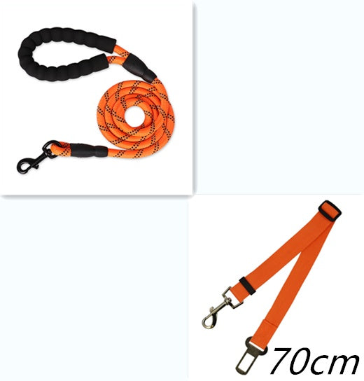 Reflective Nylon Dog Leash — For Small, Medium & Large Dogs