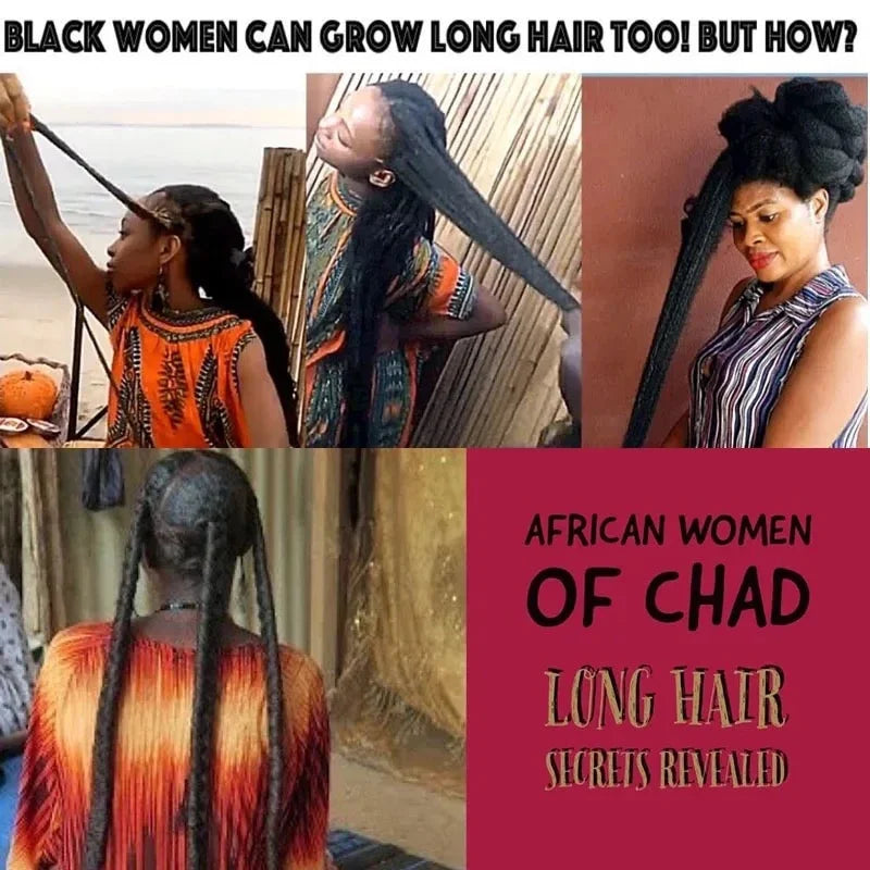 Chebe Hair Growth Shampoo — Ancient African Formula for Fast Hair Loss Treatment