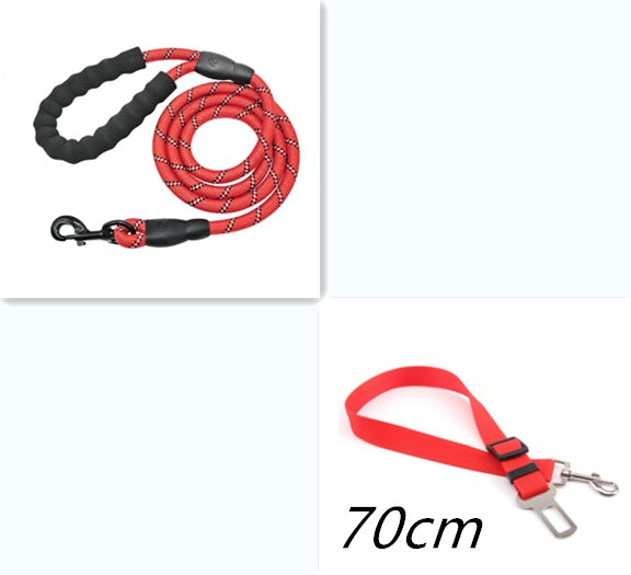 Reflective Nylon Dog Leash — For Small, Medium & Large Dogs